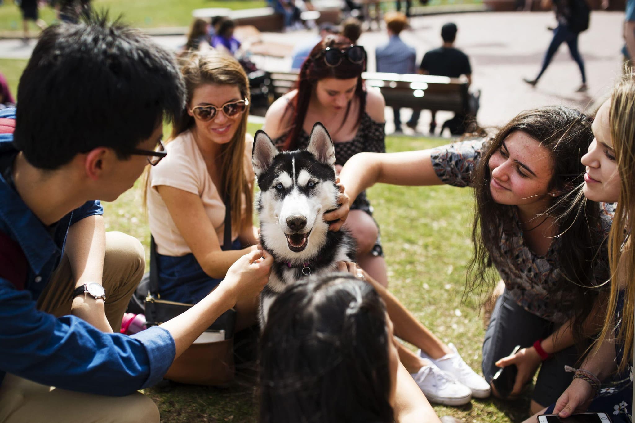 Students connecting